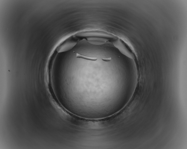 X0000088381080200705221049