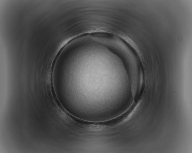 X0000088381081200705221049
