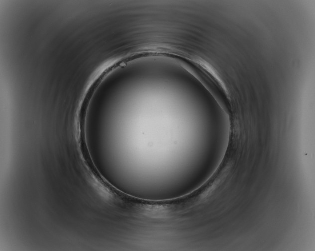 X0000088381082200705221049