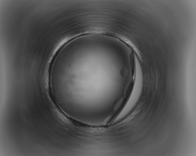 X0000088381083200705221048