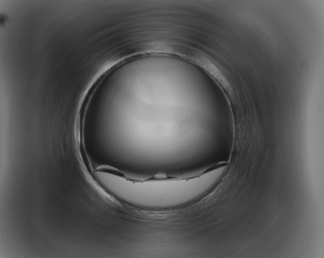 X0000088381084200705221048