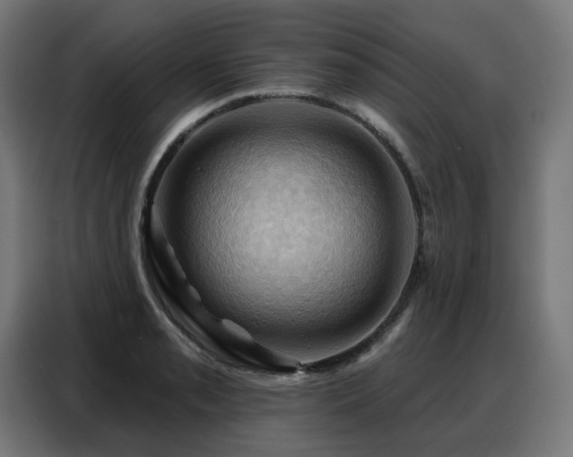 X0000088381085200705221048