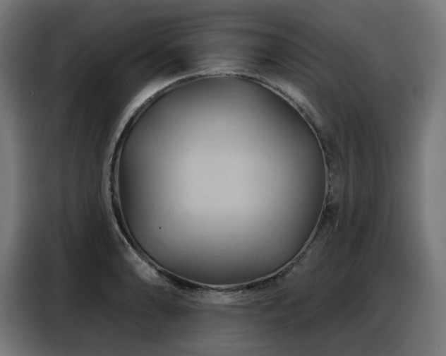 X0000088381086200705221048