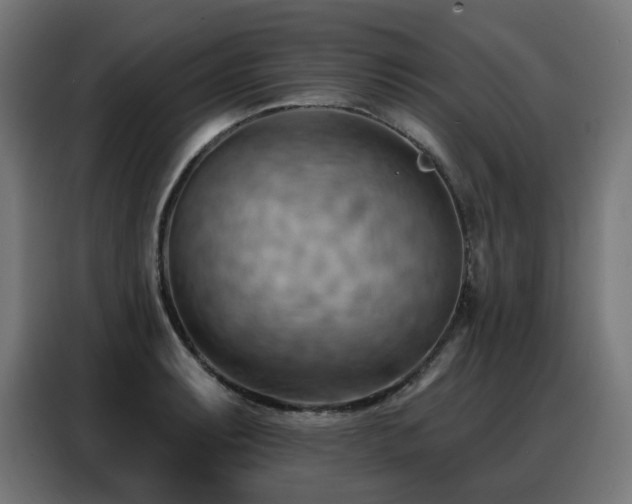 X0000088381087200705221048