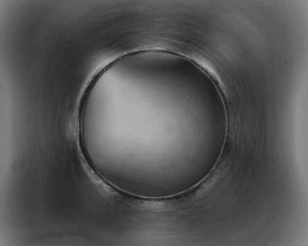 X0000088381088200705221048