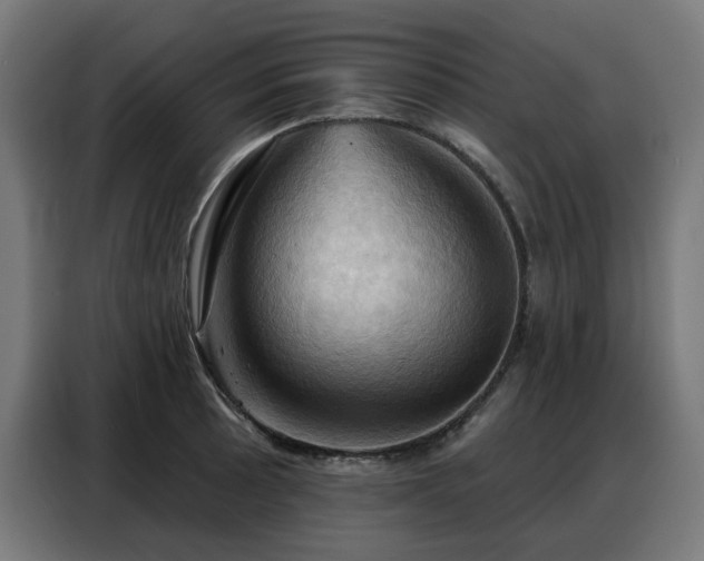 X0000088381089200705221048