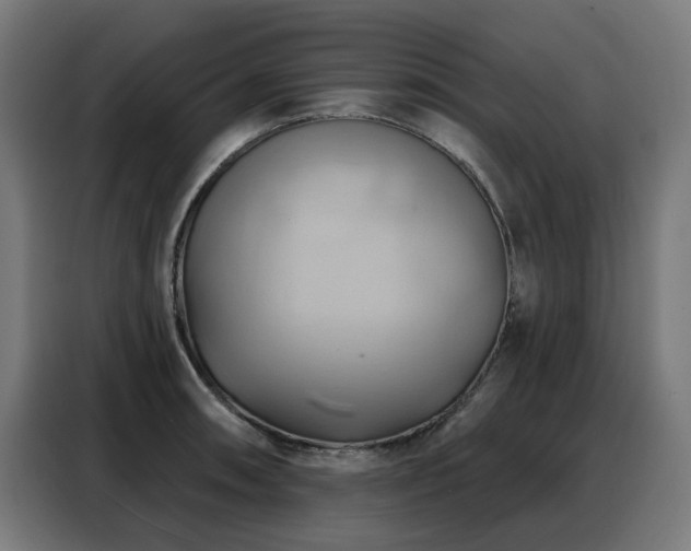 X0000088381090200705221048
