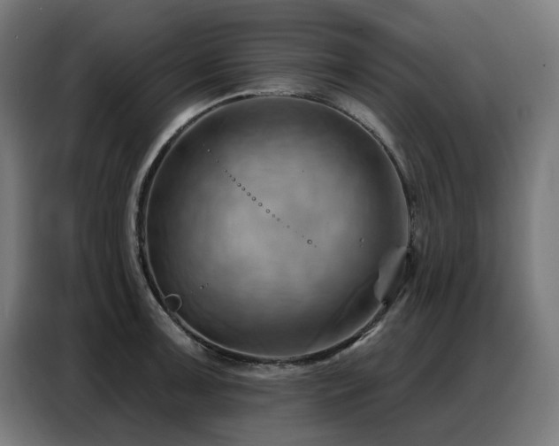 X0000088381091200705221048