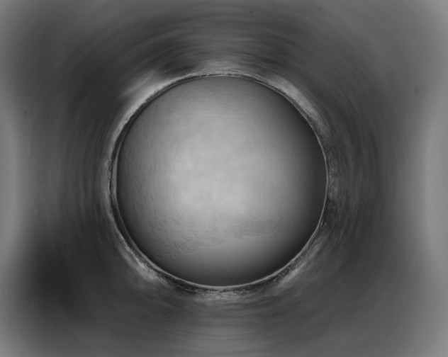 X0000088381094200705221048