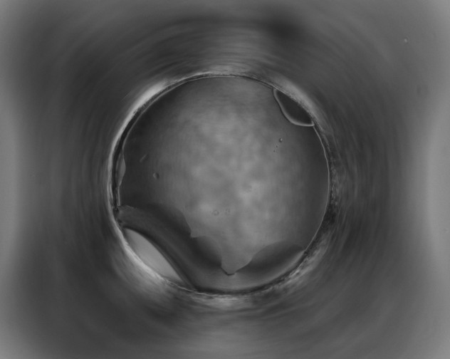 X0000088381095200705221048