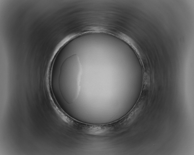 X0000088381098200705221048