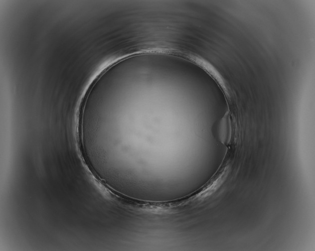 X0000088381099200705221048