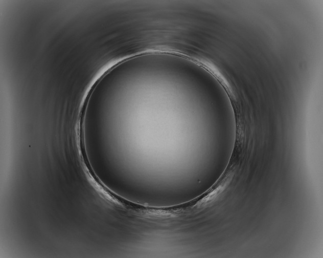 X0000088381100200705221048