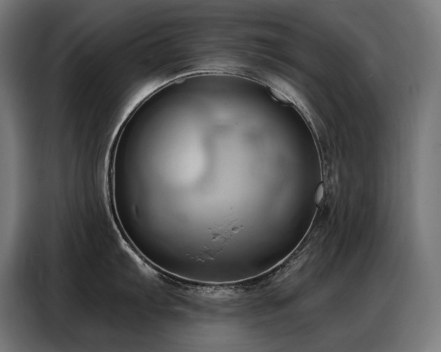 X0000088381103200705221048