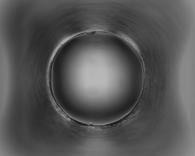 X0000088381104200705221048
