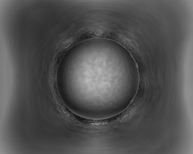 X0000088381105200705221048