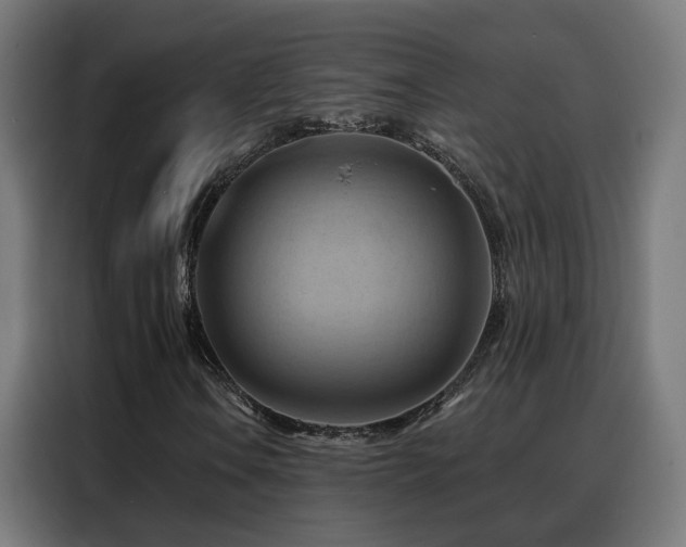 X0000088381106200705221048