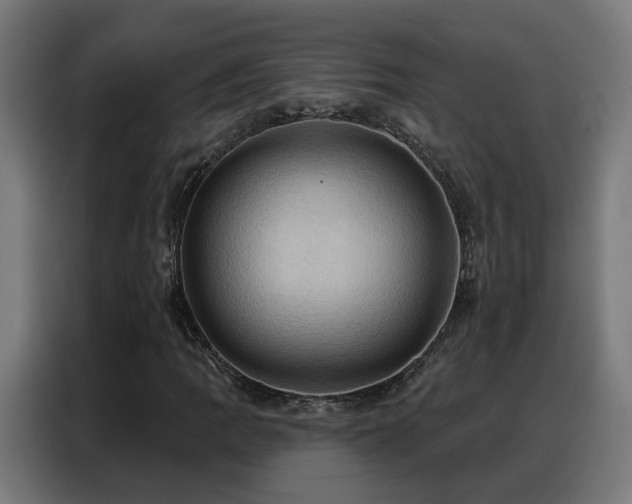 X0000088381109200705221048