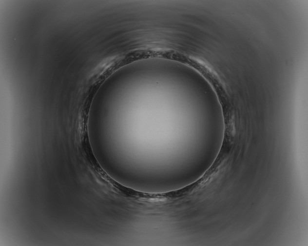 X0000088381110200705221048