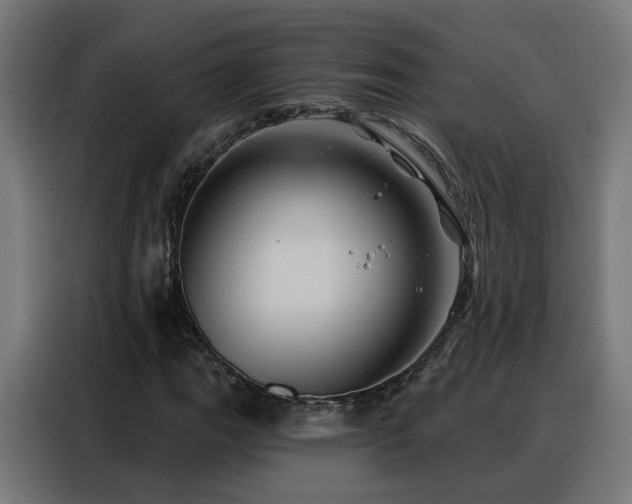 X0000088381111200705221048