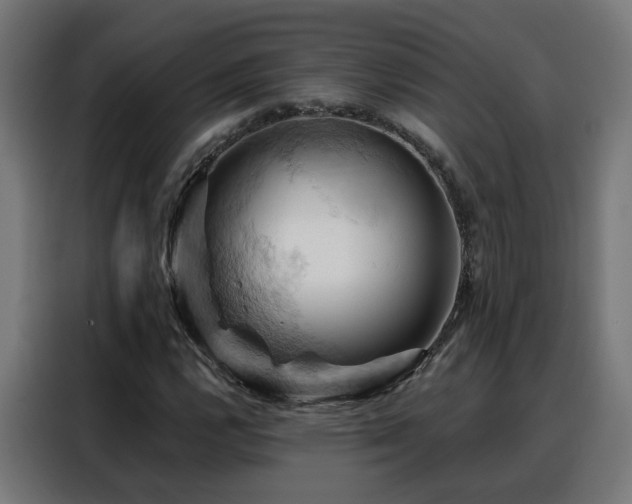 X0000088381112200705221048