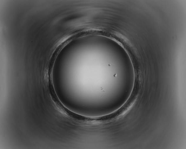 X0000088381113200705221048