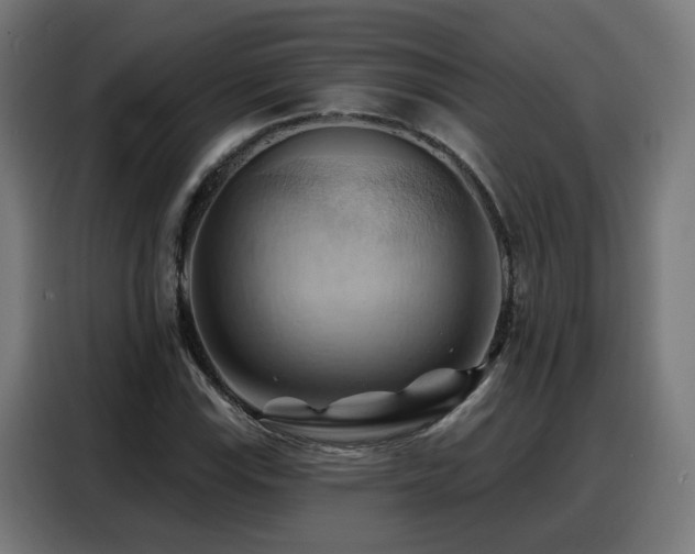 X0000088381115200705221048