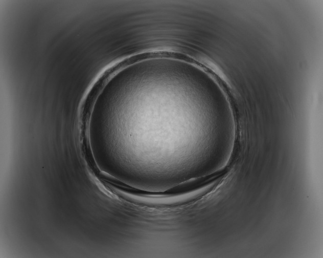 X0000088381116200705221048
