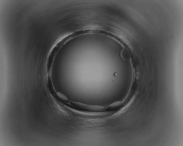 X0000088381117200705221048