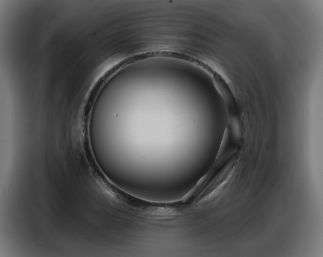 X0000088381119200705221048