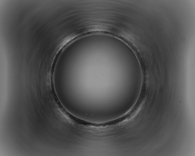 X0000088381121200705221048