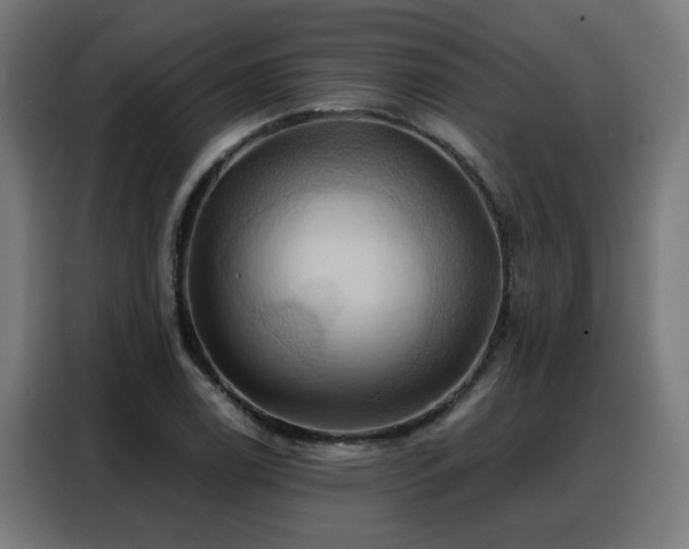 X0000088381122200705221048