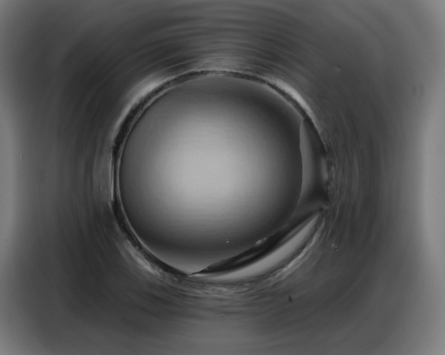 X0000088381123200705221048