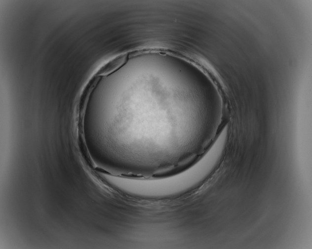 X0000088381124200705221048