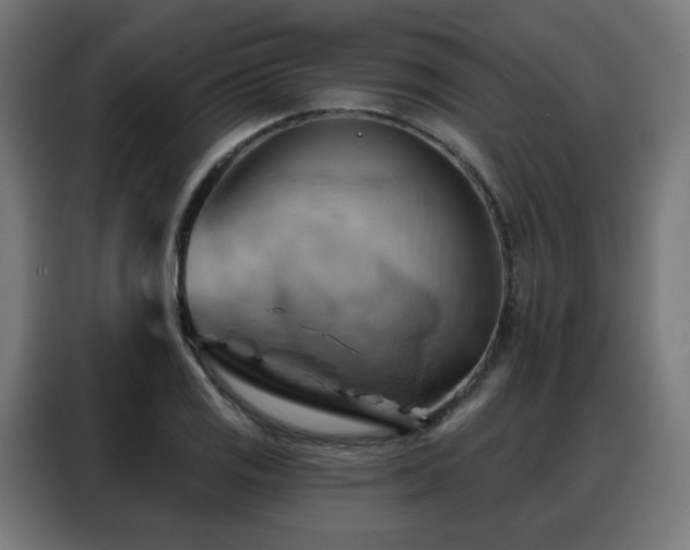 X0000088381125200705221048