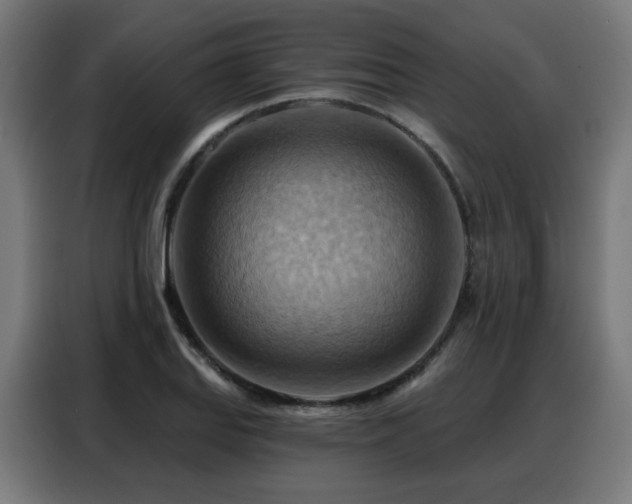 X0000088381127200705221048