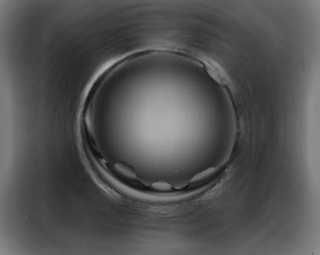 X0000088381128200705221048