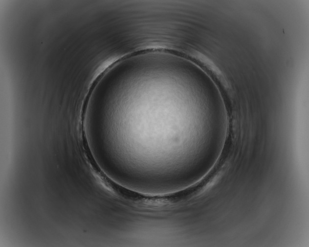 X0000088381129200705221048