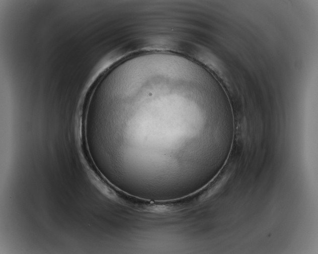 X0000088381130200705221048