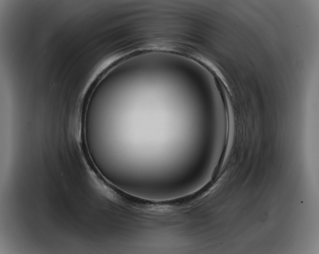 X0000088381131200705221048
