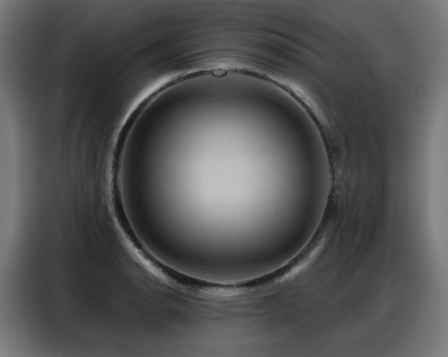 X0000088381134200705221048