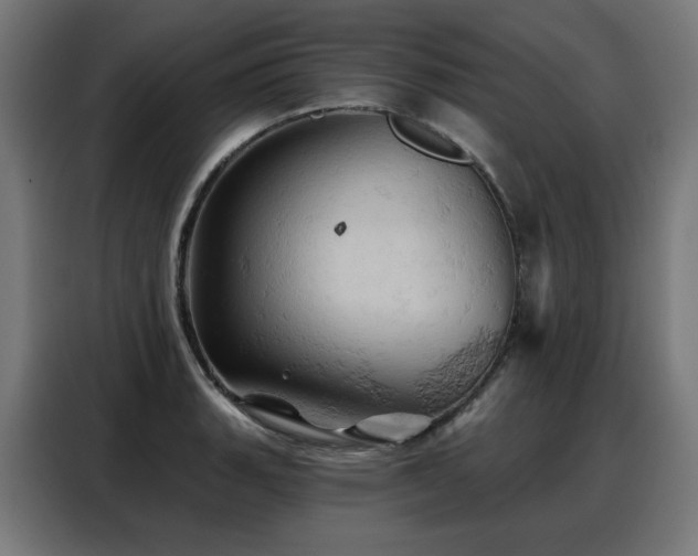 X0000088381135200705221048