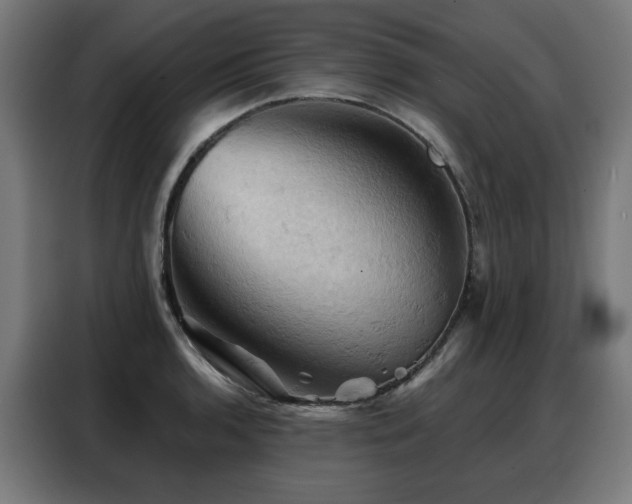 X0000088381136200705221048