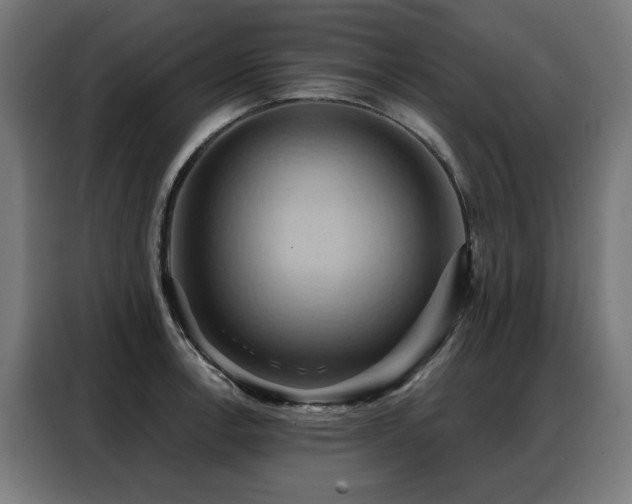 X0000088381138200705221048