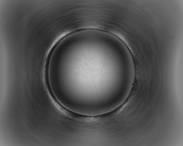 X0000088381139200705221048