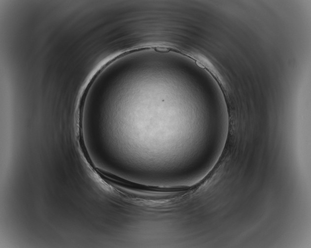 X0000088381140200705221048