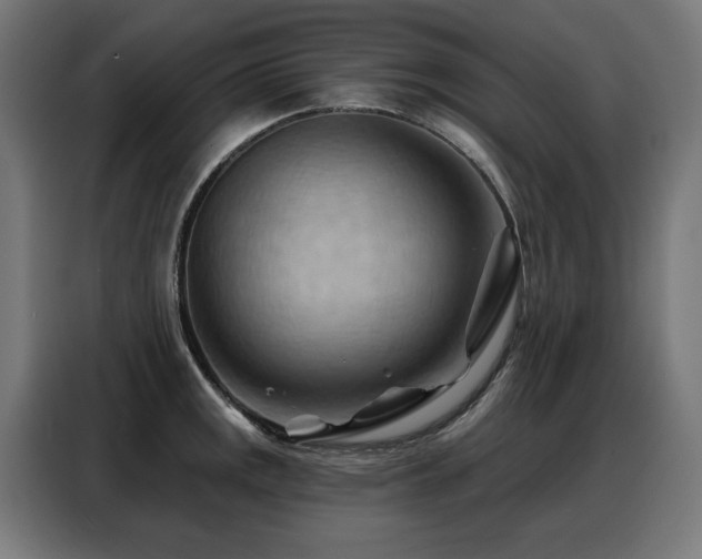 X0000088381141200705221048