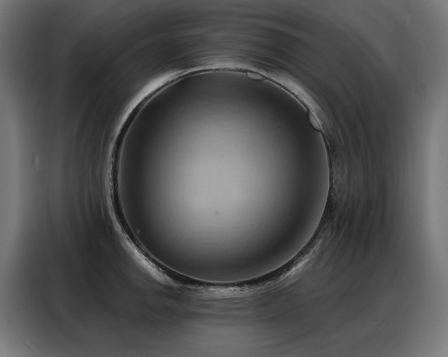 X0000088381142200705221048
