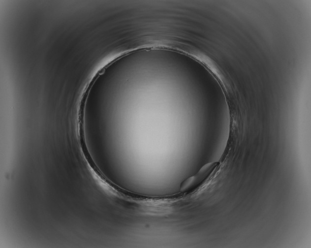 X0000088381143200705221048
