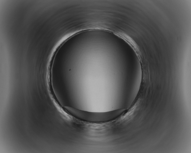 X0000088381144200705221048